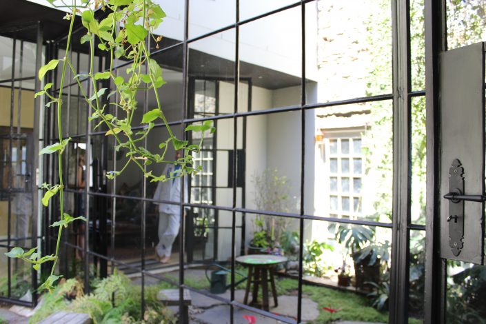 Private courtyard with owner